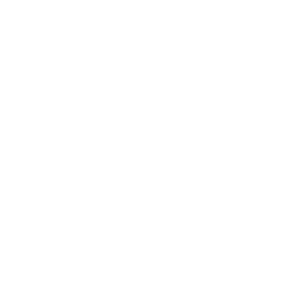 icon-logo